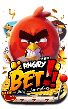ANGRY WIN